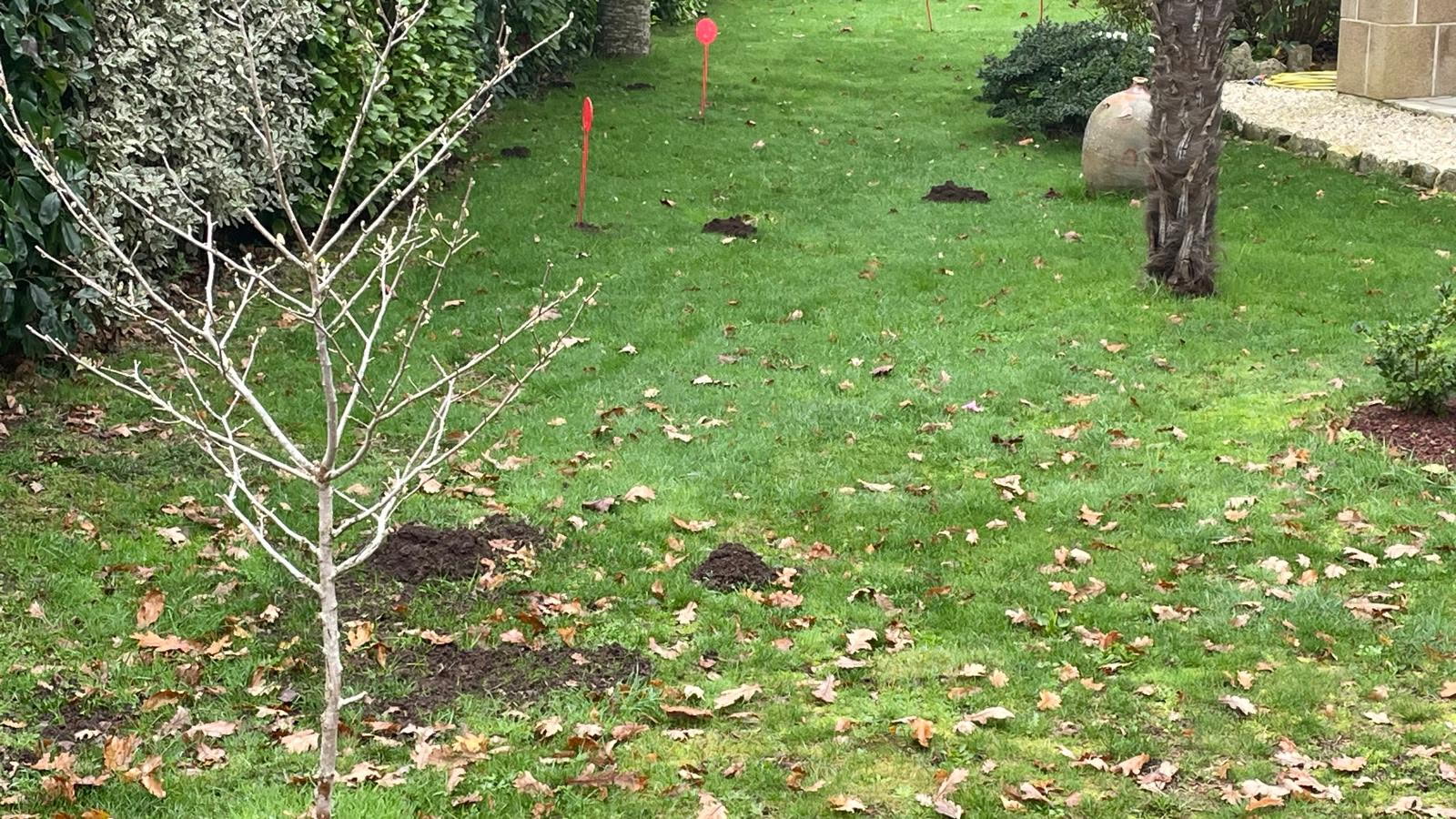 SC NUISIBLES -4883788913008711106